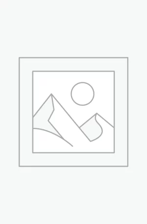 Δείκτης τοποθέτησης